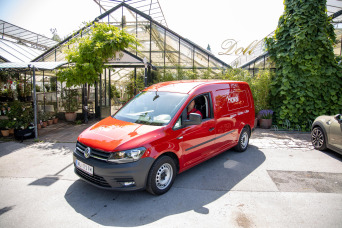 Hoval sorgt für perfekte Temperaturen im Glashaus