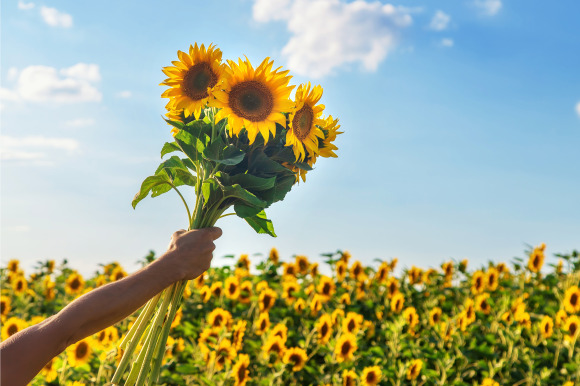 alternative oelheizung solarthermie